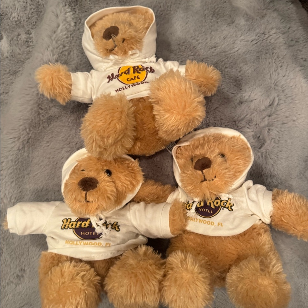 Hard Rock Cafe Teddy Bears with Hoodies hard rock hotel bear with sweatshirt